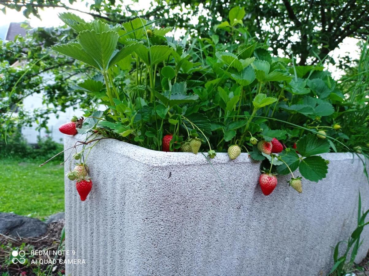 Appartement Il Giardino Segreto à Beura Extérieur photo